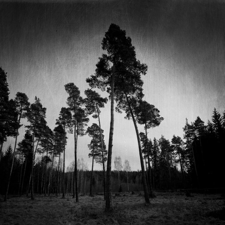 zdjęcia krajobrazowe