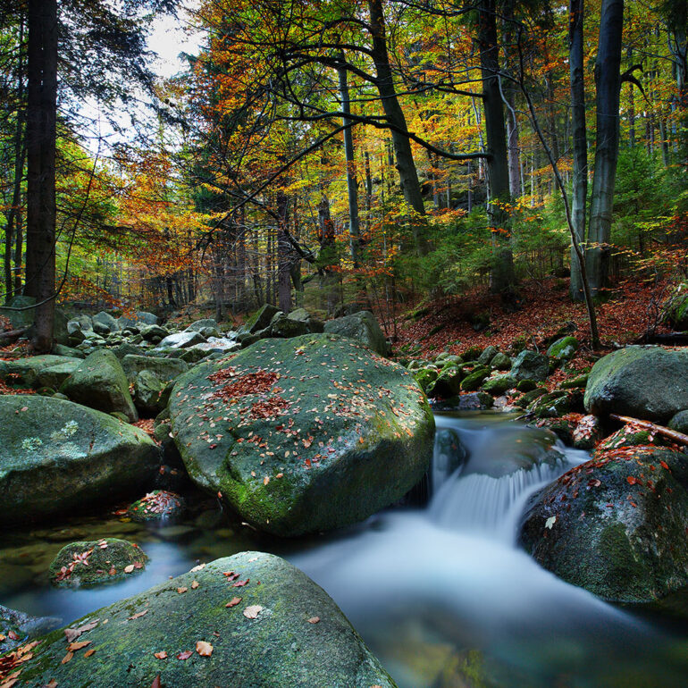 Zdjęcia górskich rzek