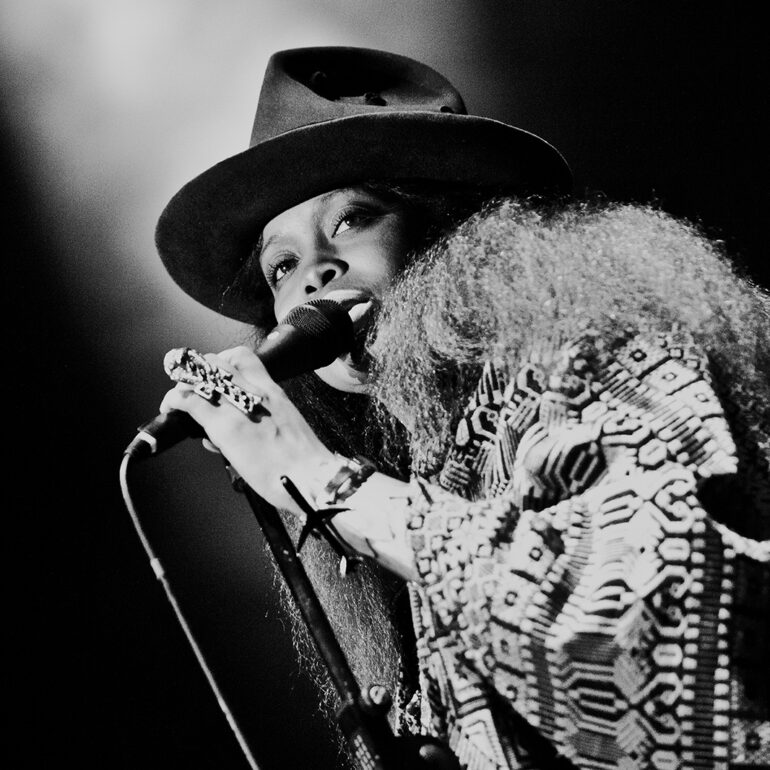 zdjęcia z eventów i koncertów