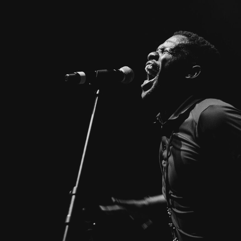 zdjęcia z koncertów